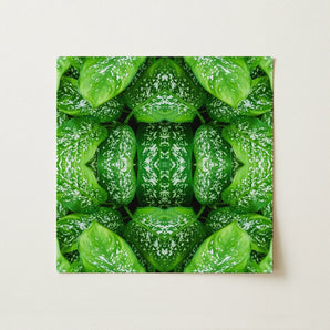 Pitter Splatter - Tropical Leaf Op Art Print / Canvas, Pitter Splatter Tropical, Splatter Tropical Leaf, Tropical Leaf Art