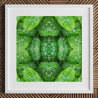 Pitter Splatter - Tropical Leaf Op Art Print / Canvas White-framed Artwork Symmetrical Kaleidoscopic Pattern Vibrant Green Leaves, Prints