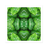Pitter Splatter - Tropisches Blatt-Op-Art-Print / Leinwand, 12x12’’ / 31x31cm / Ungerahmt / Weißer Rand, Poster, Drucke & visuelle Kunstwerke, Toby