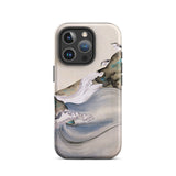 Plovers Rocks and Waves - Suzuki Kiitsu Phone Case Iphone 16 Pro / Matte Artistic Phone Case Suzuki Kiitsu Iphone, Ink-laced Curls, Smoked