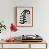 Polystichum Munitum (prickly Shield–fern) - Karl Blossfeldt Art Print / Canvas Record Player Red Desk Lamp Framed Fern Artwork,