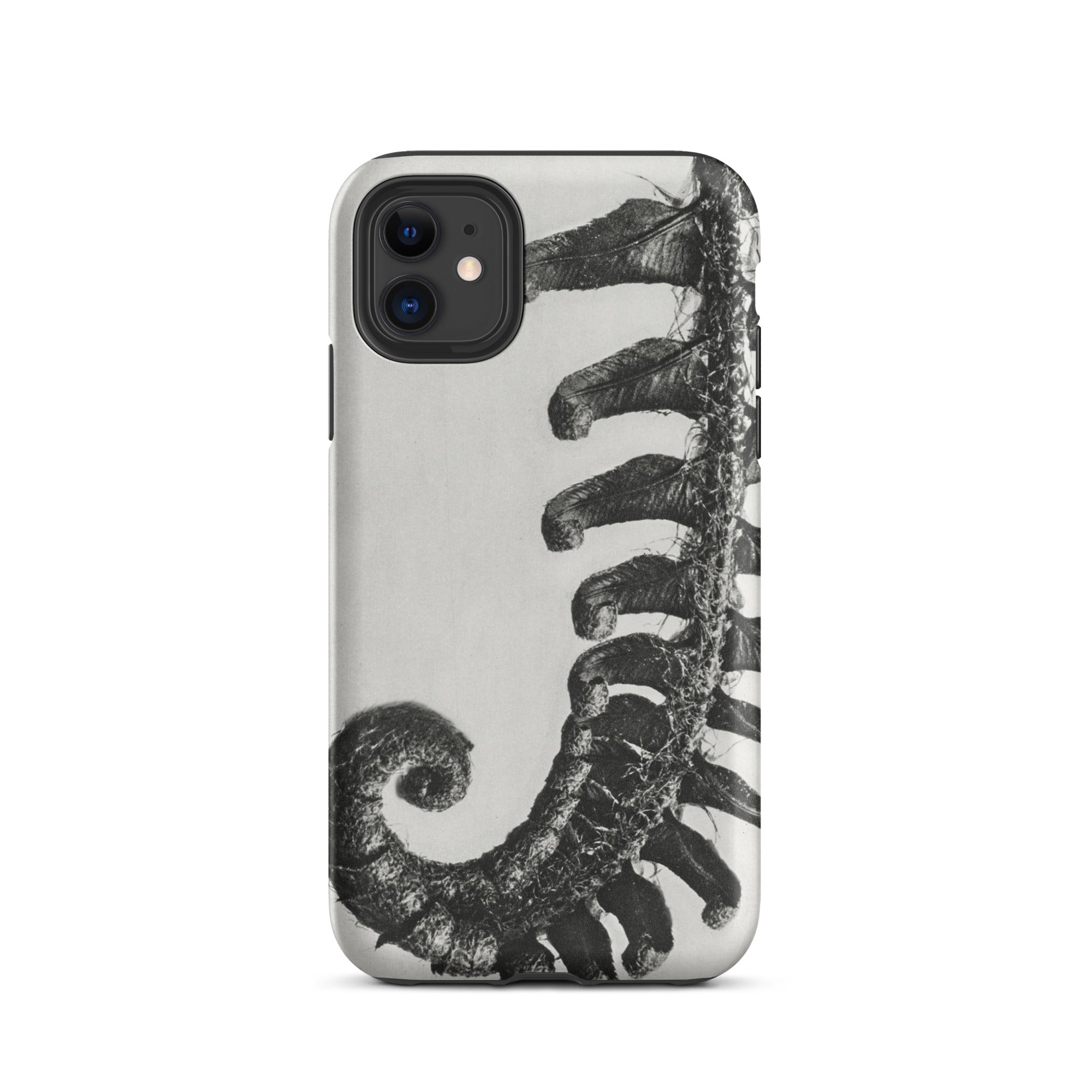 Polystichum Munitum (prickly Shield–fern) Karl Blossfeldt Iphone Case, 11 / Matte, Fern Patterned Phone Case