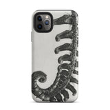 Polystichum Munitum (prickly Shield–fern) - Karl Blossfeldt Phone Case, Iphone 11 Pro Max / Matte, Mobile Cases, Toby Leon