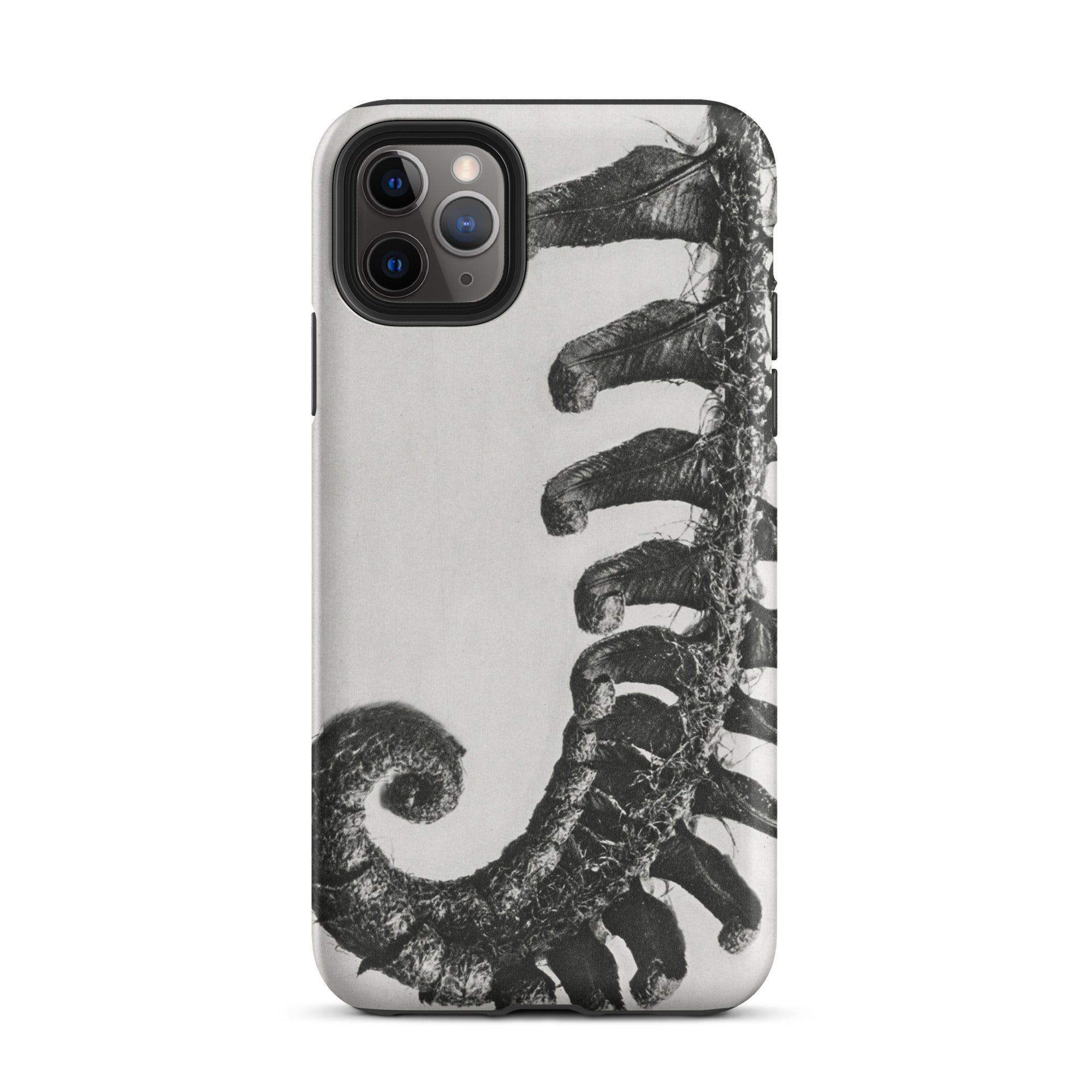 Polystichum Munitum (prickly Shield–fern) Karl Blossfeldt Iphone Case, 11 Pro Max / Matte, Fern Patterned Phone Case