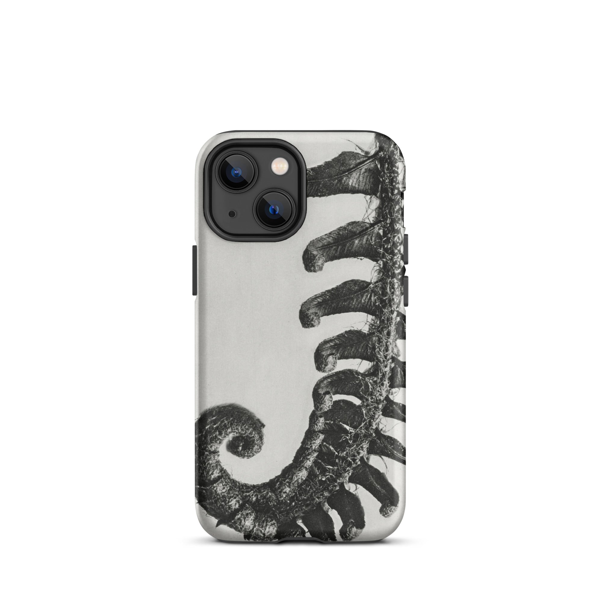 Polystichum Munitum (prickly Shield–fern) Karl Blossfeldt Iphone Case, 13 Mini / Matte, Fern Patterned Phone Case