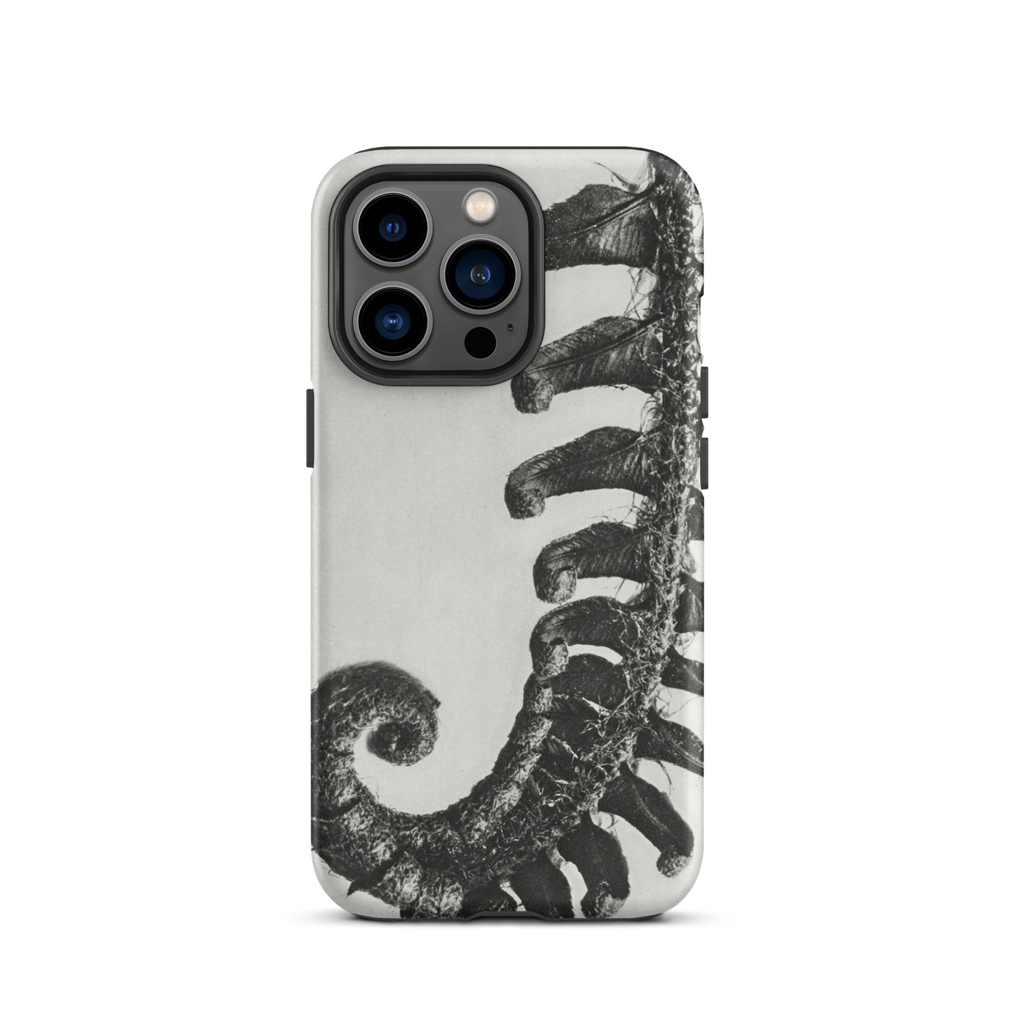Polystichum Munitum (prickly Shield–fern) Karl Blossfeldt Iphone Case, 13 Pro / Matte, Fern Patterned Phone Case
