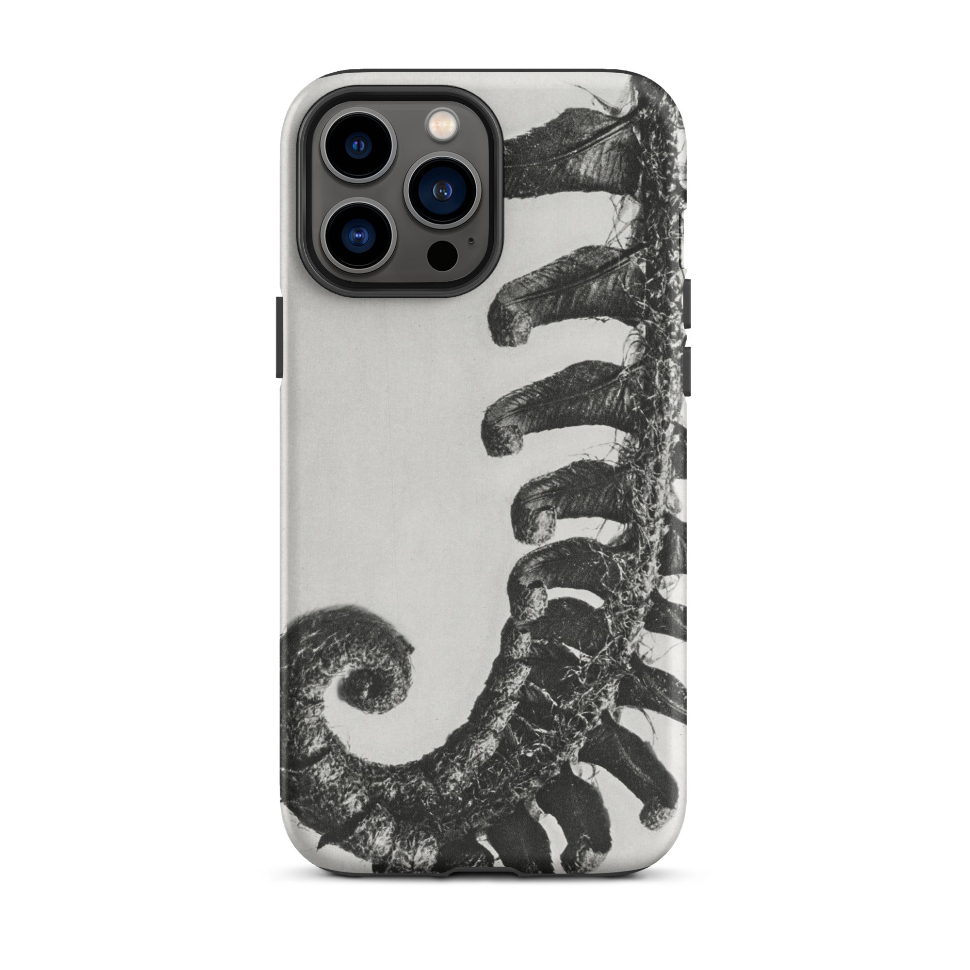 Polystichum Munitum (prickly Shield–fern) Karl Blossfeldt Iphone Case, 13 Pro Max / Matte, Fern Patterned Phone Case