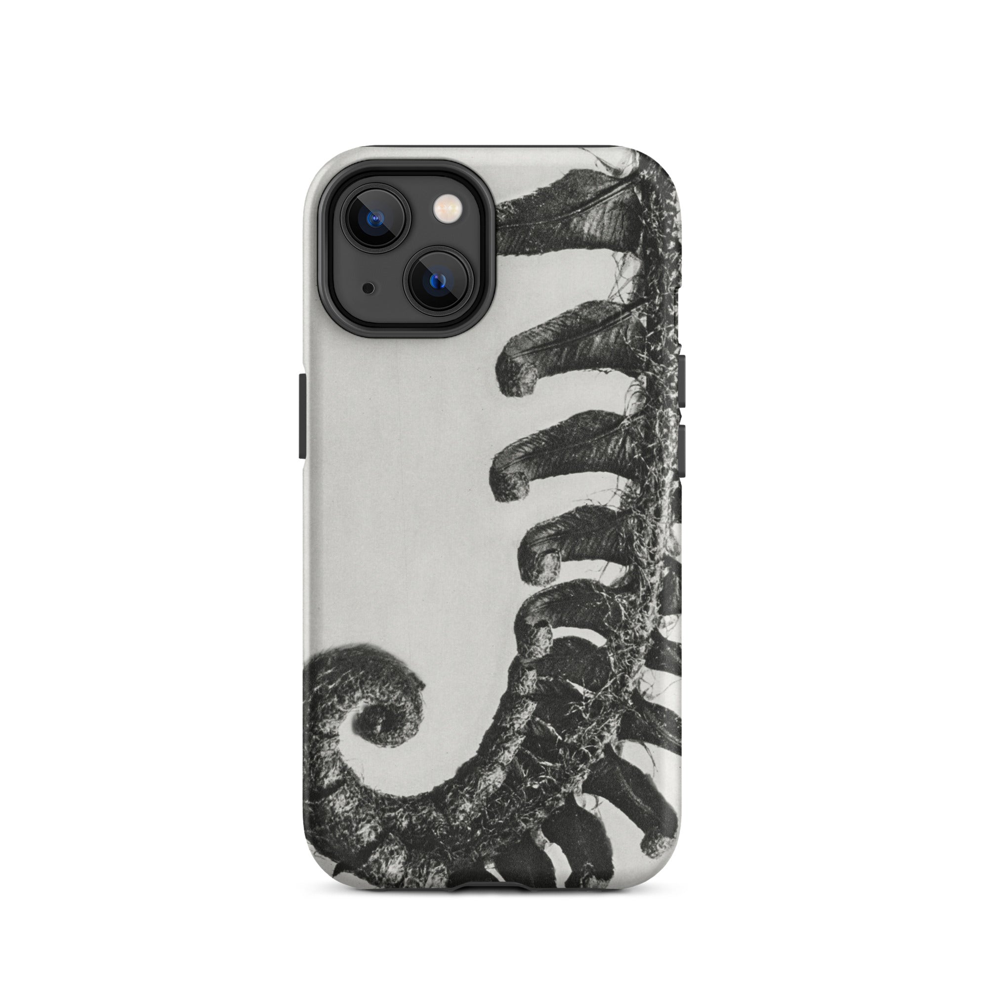 Polystichum Munitum (prickly Shield–fern) Karl Blossfeldt Iphone Case, 14 / Matte, Fern Patterned Phone Case