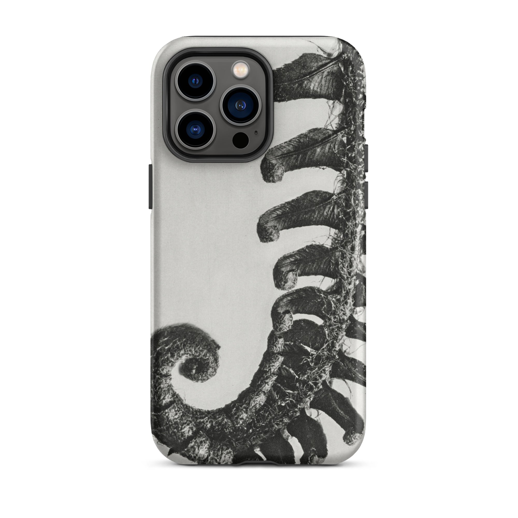 Polystichum Munitum (prickly Shield–fern) Karl Blossfeldt Iphone Case, 14 Pro Max / Matte, Fern Patterned Phone Case