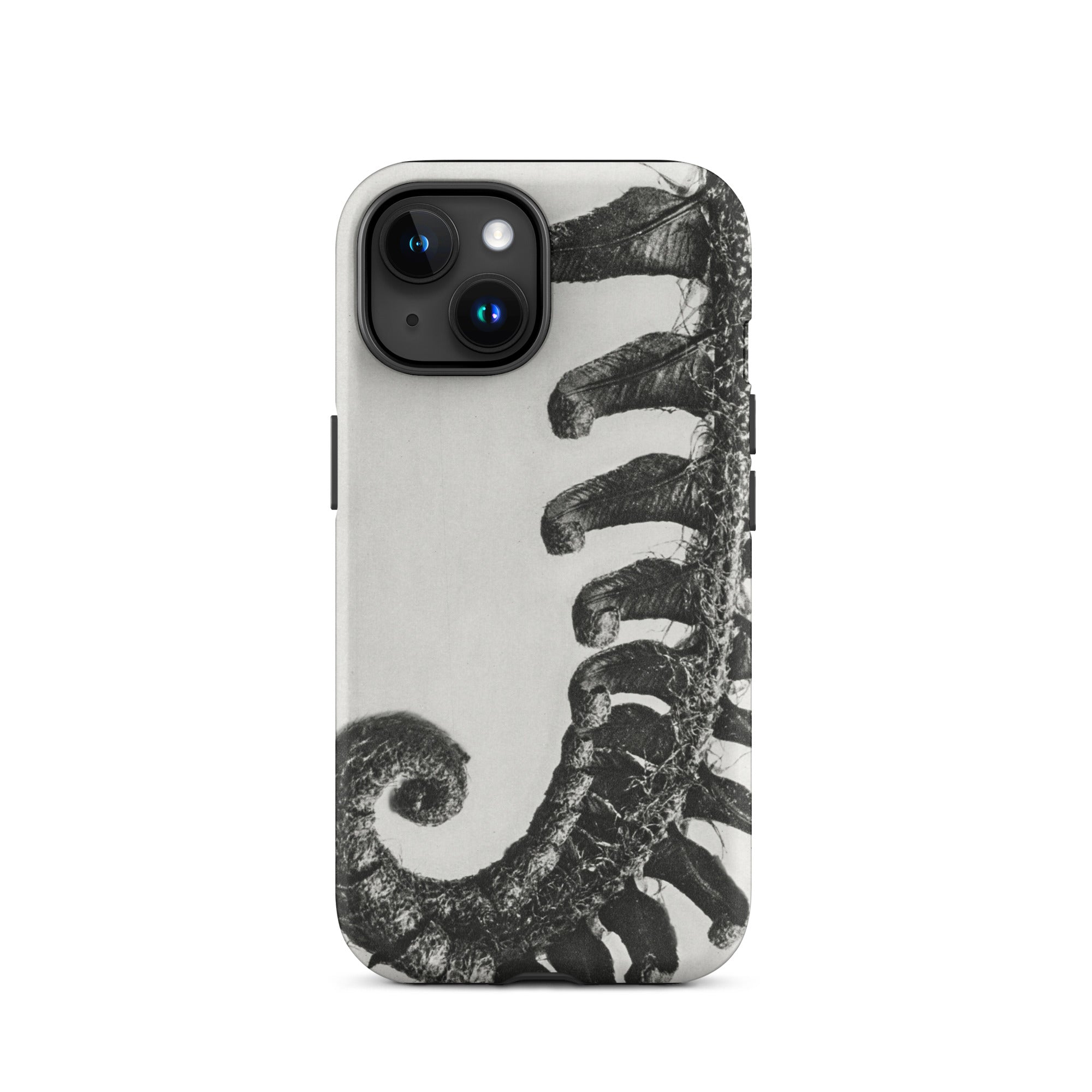 Polystichum Munitum (prickly Shield–fern) Karl Blossfeldt Iphone Case, 15 / Matte, Fern Patterned Phone Case