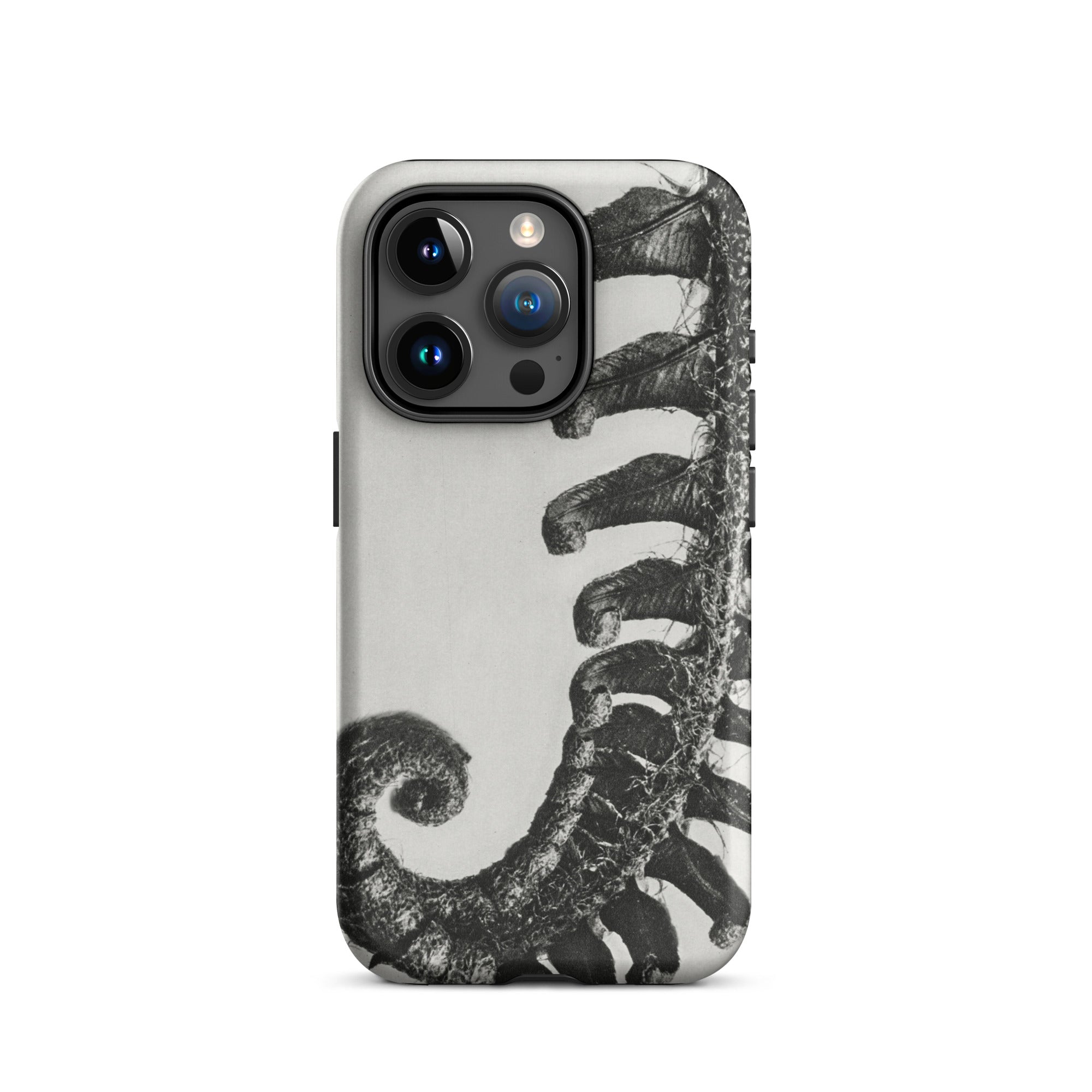Polystichum Munitum (prickly Shield–fern) Karl Blossfeldt Iphone Case, 15 Pro / Matte, Fern Patterned Phone Case