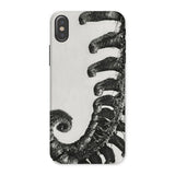 Polystichum Munitum (prickly Shield–fern) - Karl Blossfeldt Iphone Case, x / Matte, Phone Case Black White Image Curled Elephant Trunk