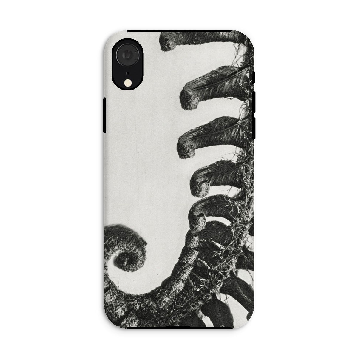 Polystichum Munitum (prickly Shield–fern) Karl Blossfeldt Iphone Case, Xr / Matte, Phone Case Black White Design Curled Elephant Trunks