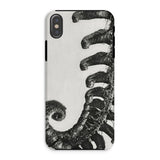 Polystichum Munitum (prickly Shield–fern) - Karl Blossfeldt Phone Case, Iphone Xs / Matte, Mobile Cases, Toby Leon