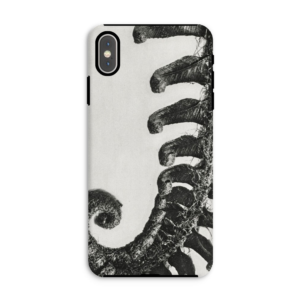 Polystichum Munitum (prickly Shield–fern) Karl Blossfeldt Iphone Case, Xs Max / Matte, Phone Case Black White Design Curled Fern Frond