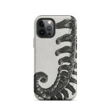 Polystichum Munitum (prickly Shield–fern) - Karl Blossfeldt Phone Case Iphone 12 Pro / Matte Fern-patterned Phone Case Karl Blossfeldt,
