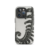 Polystichum Munitum (prickly Shield–fern) - Karl Blossfeldt Phone Case Iphone 16 Pro / Matte Fern-patterned Phone Case Karl Blossfeldt,