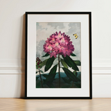 Pontic Rhododendron - Robert John Thornton Art Print / Canvas, 12x16’’ / 31x41cm / Black Frame / Matboard, Posters Prints & Visual Artwork,