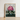 Framed Botanical Illustration Vibrant Cluster Deep Pink Rhododendron Robert John Thornton, Pontic, Thornton’s