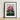 Framed Botanical Illustration Vibrant Cluster Pink Rhododendron Blossoms Robert John Thornton, Pontic, Thornton’s