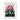 Pontic Rhododendron - Robert John Thornton Art Print, Pink Rhododendron Bloom Dark Green Leaves Yellow Butterfly