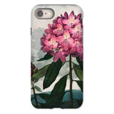 Pontischer Rhododendron - Robert John Thornton iPhone-Hülle, 8 / Matt, Handyhüllen, Toby Leon