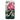 Iphone 8 / Matte Pontic Rhododendron - Robert John Thornton Phone Case, Thorpe