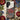 Poppies & Honeysuckle - William Morris Phone Case Floral, Iphone