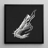 Prawn - Ernst Haeckel Marine Life Art Print / Canvas, 12x12’’ / 31x31cm / Black Frame, Posters Prints & Visual Artwork, Toby Leon