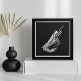 Prawn - Ernst Haeckel Marine Life Art Print, Framed Black White Artwork Skeletal Shrimp Prawn