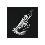 Gambero - Stampa artistica di vita marina di Ernst Haeckel / Canvas, 12x12’’ / 31x31cm / Senza cornice / Bordo bianco, Poster, stampe e opere d’arte visiva, Toby
