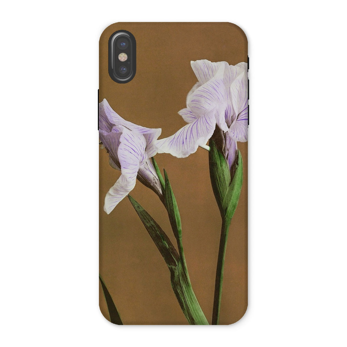 Purple Iris Ogawa Kazumasa Floral Iphone Case, x / Matte, Phone Case Close Up Photograph Two Pale Purple Iris