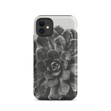 Pyramidal Saxifrage (saxifraga Aizoon) - Karl Blossfeldt Iphone Case, 11 / Matte, Black White Succulent Phone Case