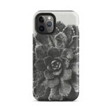 Pyramidal Saxifrage (saxifraga Aizoon) - Karl Blossfeldt Iphone Case, 11 Pro / Matte, Black White Succulent Phone Case