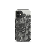 Pyramidal Saxifrage (saxifraga Aizoon) - Karl Blossfeldt Iphone Case, 12 Mini / Matte, Black White Succulent Phone Case