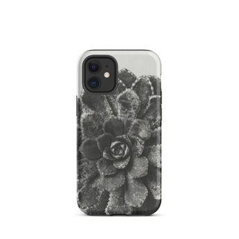 Pyramidal Saxifrage (saxifraga Aizoon) - Karl Blossfeldt Iphone Case, 12 Mini / Matte, Black White Succulent Phone Case
