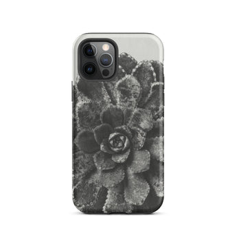 Pyramidal Saxifrage (saxifraga Aizoon) - Karl Blossfeldt Iphone Case, 12 Pro / Matte, Black White Succulent Phone Case
