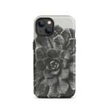 Pyramidal Saxifrage (saxifraga Aizoon) - Karl Blossfeldt Iphone Case, 13 / Matte, Black White Succulent Phone Case