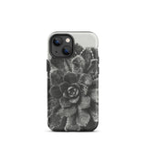 Pyramidal Saxifrage (saxifraga Aizoon) - Karl Blossfeldt Iphone Case, 13 Mini / Matte, Black White Succulent Phone Case