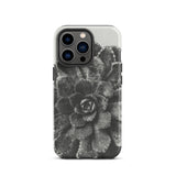 Pyramidal Saxifrage (saxifraga Aizoon) - Karl Blossfeldt Iphone Case, 13 Pro / Matte, Black White Succulent Phone Case