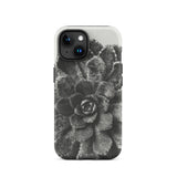 Pyramidal Saxifrage (saxifraga Aizoon) - Karl Blossfeldt Iphone Case, 15 / Matte, Black White Succulent Phone Case