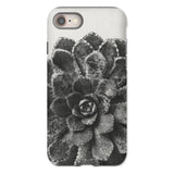 Pyramidal Saxifrage (saxifraga Aizoon) - Karl Blossfeldt Iphone Case, 8 / Matte, Succulent Plant Rosette-shaped Leaves Black White