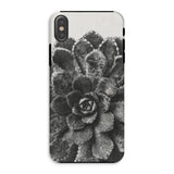 Pyramidal Saxifrage (saxifraga Aizoon) - Karl Blossfeldt Iphone Case, Xs / Matte, Black White Photograph Succulent Plant Phone Case