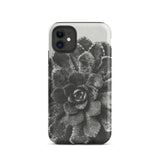 Pyramidal Saxifrage (saxifraga Aizoon) - Karl Blossfeldt Phone Case Iphone 11 / Matte Black White Succulent Phone Case Karl Blossfeldt,