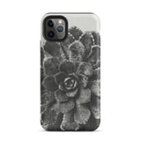 Pyramidal Saxifrage (saxifraga Aizoon) - Karl Blossfeldt Phone Case Iphone 11 Pro Max / Matte Black White Succulent Phone Case Karl