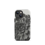 Pyramidal Saxifrage (saxifraga Aizoon) - Karl Blossfeldt Phone Case Iphone 13 Mini / Matte Black White Succulent Phone Case Karl