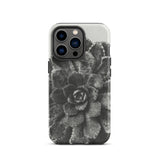 Pyramidal Saxifrage (saxifraga Aizoon) - Karl Blossfeldt Phone Case Iphone 13 Pro / Matte Black White Succulent Phone Case Karl Blossfeldt,