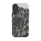 Pyramidal Saxifrage (saxifraga Aizoon) - Karl Blossfeldt Phone Case Iphone 16 Plus / Matte Succulent-patterned Phone Case Karl Blossfeldt,