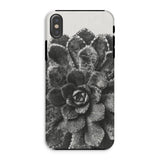 Pyramidal Saxifrage (saxifraga Aizoon) - Karl Blossfeldt Phone Case Iphone Xs / Matte Black White Photograph Succulent Plant Phone Case