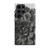 Pyramidal Saxifrage (saxifraga Aizoon) - Karl Blossfeldt Phone Case Samsung Galaxy S23 Ultra / Matte Black White Textured Succulent Plant